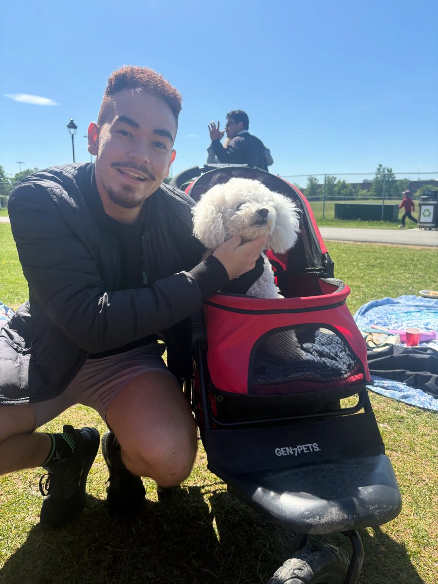Picnic with Coco